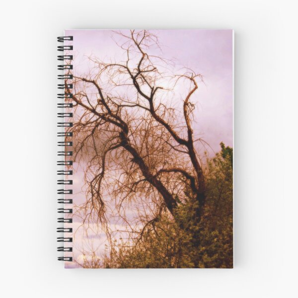 Item preview, What Used To Be designed and sold by Diane Arndt.
