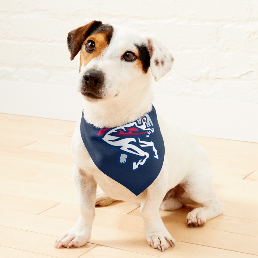 Official New England Patriots Dog Jerseys, Patriots Pet Leash