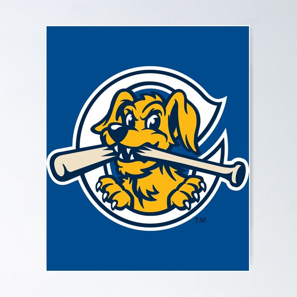Item preview, New-RiverDogs-Charleston designed and sold by ramsesdo.
