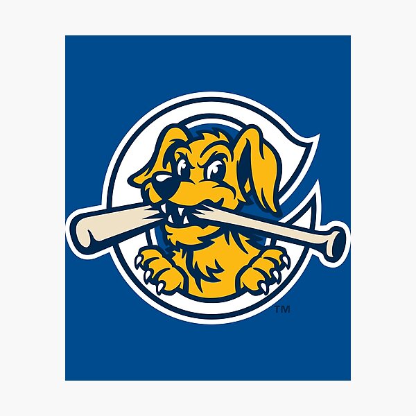 Item preview, New-RiverDogs-Charleston designed and sold by ramsesdo.