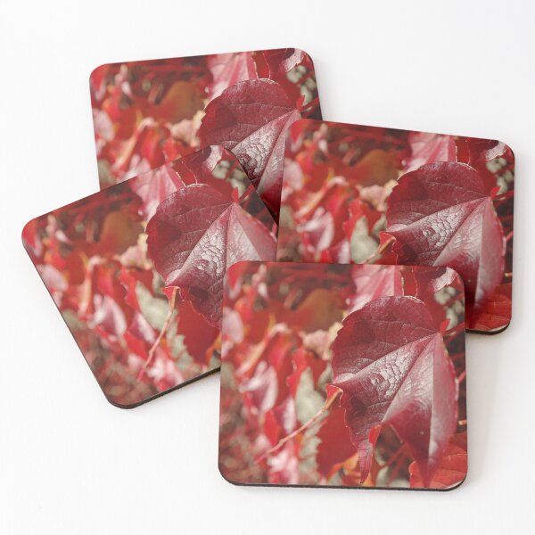 Item preview, Virginia creeper designed and sold by RiciPaneto.
