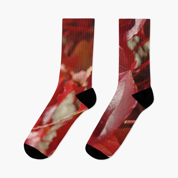 Item preview, Virginia creeper designed and sold by RiciPaneto.