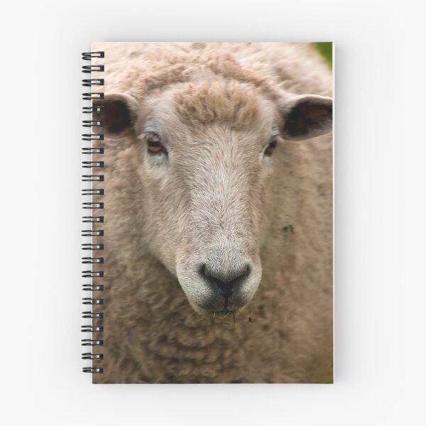 Item preview, "Ball of Wool"   Sheep. designed and sold by Billlee.
