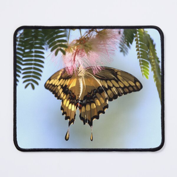 Item preview, Lost Kite designed and sold by Olivia Plasencia.
