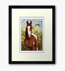 Cup-o-Joe; the Skittle Thief Framed Print