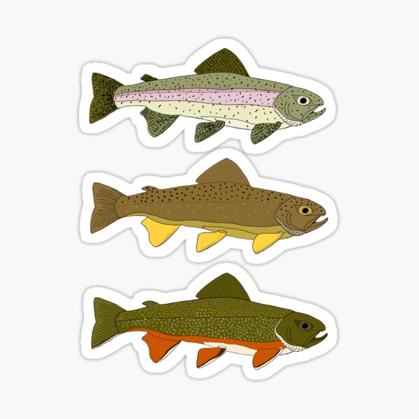 MISSOURI Stickers Decals Trout Brown Brook Rainbow Smallmouth fly