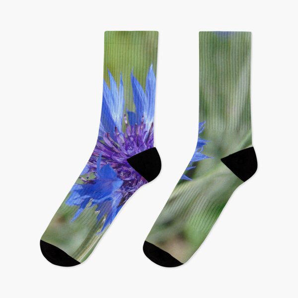 Item preview.
