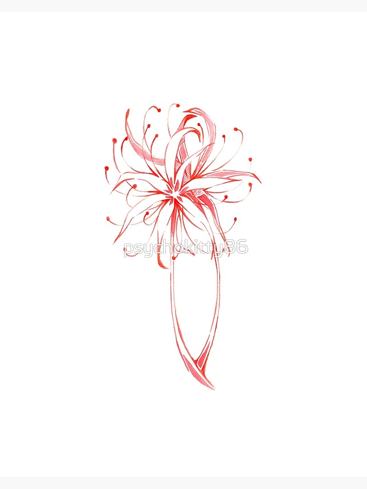 Spider Lily Drawing ubicaciondepersonas.cdmx.gob.mx