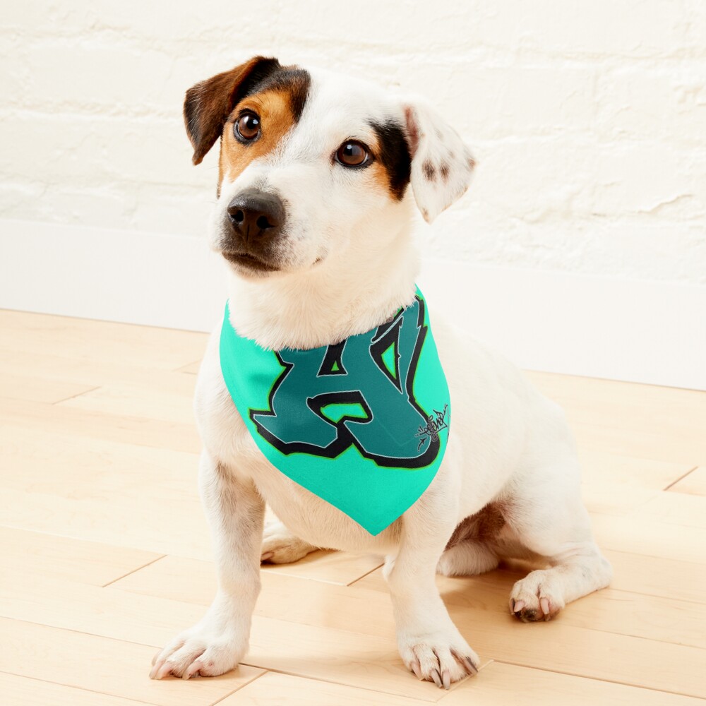 Miami Dolphins Dog Bandana 