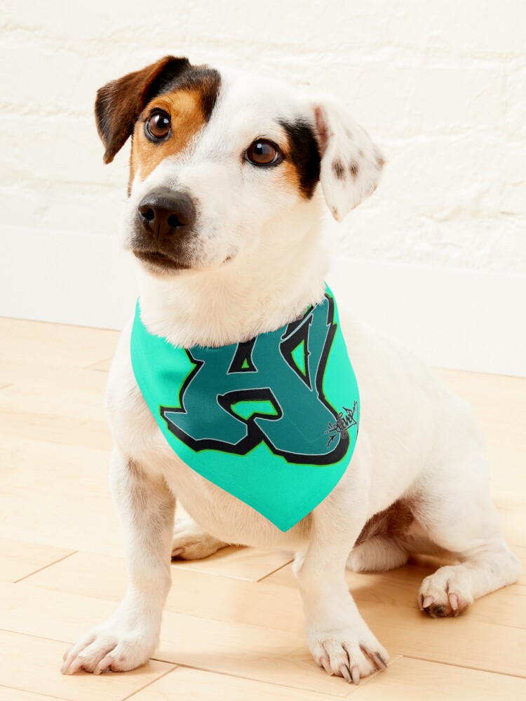 Miami Dolphins Pet Jersey