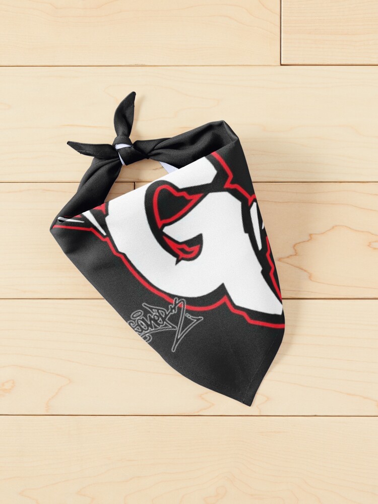 LETTER G BY ESONE URBAN GRAFFITI STREET STYLE  Pet Bandana for