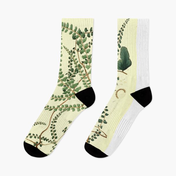 Item preview, Botanical Fern designed and sold by BlueSpecsStudio.