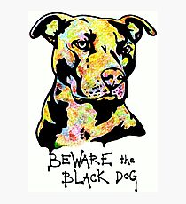 Beware the Black Dog by Pasha du Valentine Photographic Print