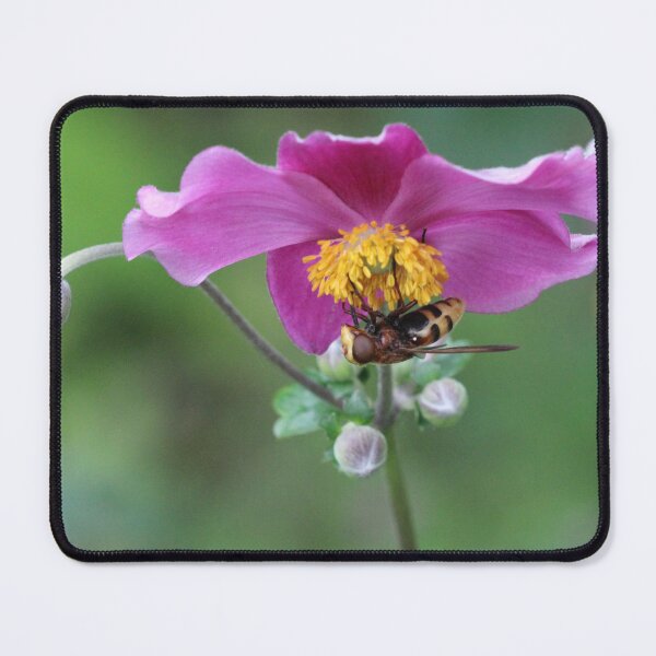 Item preview, Hornet hoverfly designed and sold by Thea 65.