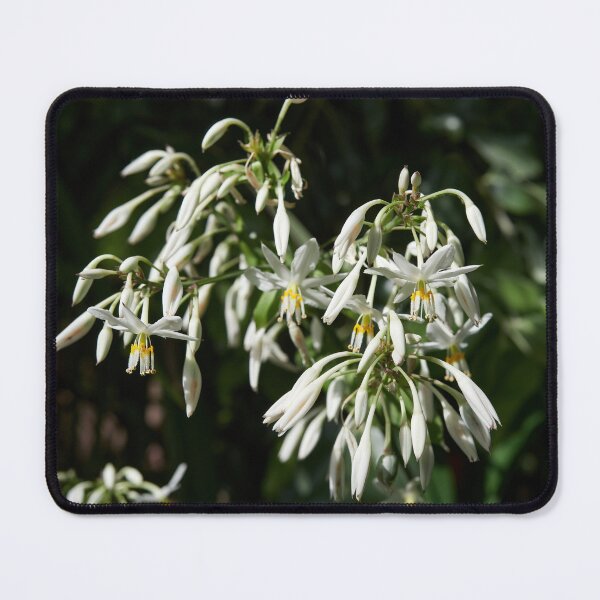 Item preview, Renga-renga designed and sold by Jouko Lehto Photography.