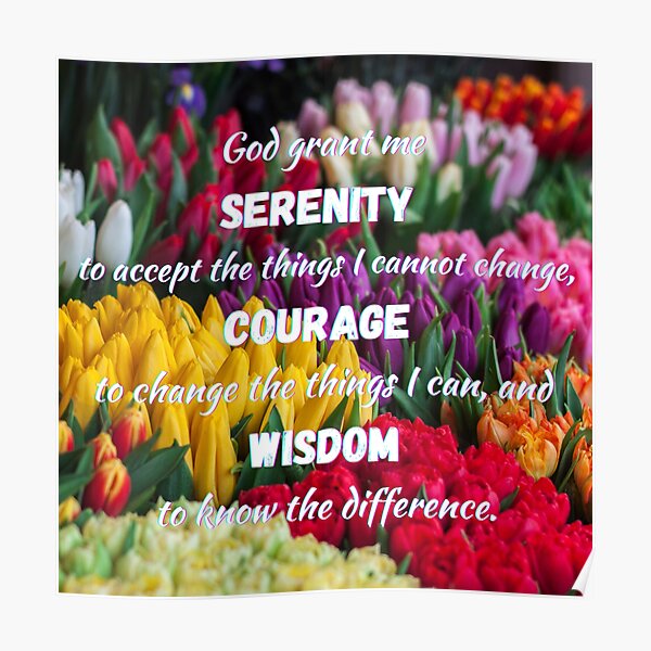A4 Laminated Poster floral Lord give me the Serenity Prayer Jesus Christ 