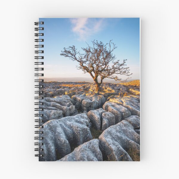 Item preview, The Lone Hawthorn designed and sold by Lenscraft by Robin Whalley.