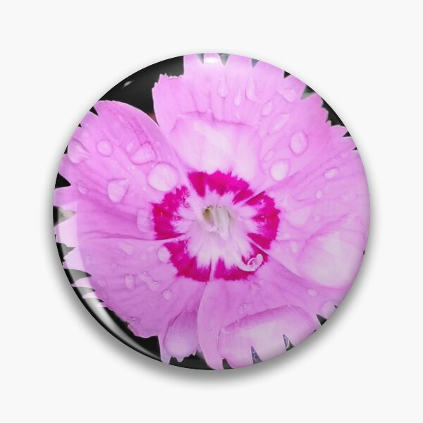 Item preview, Dew Drops Sweet William  designed and sold by AmandaFaye99.