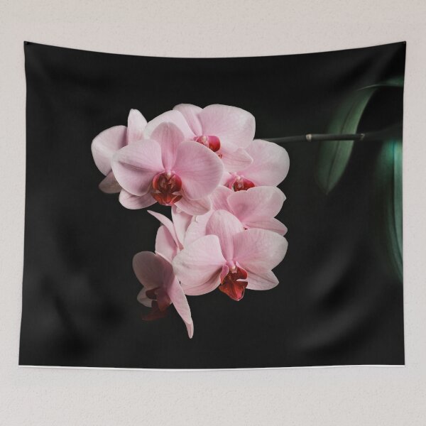 Item preview, Vintage Pink Orchid | Fine Art Nature Photography designed and sold by Diana van Neck.