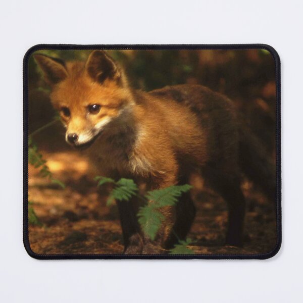 Item preview, Cute fox designed and sold by dineshshop1.