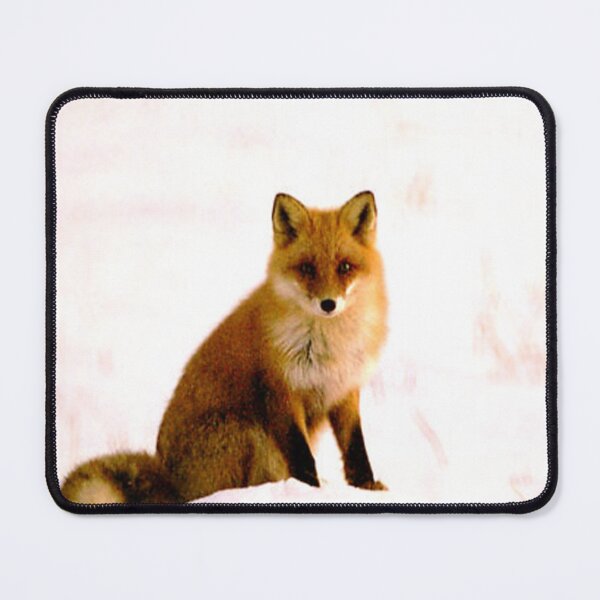 Item preview, Very cute fox designed and sold by dineshshop1.