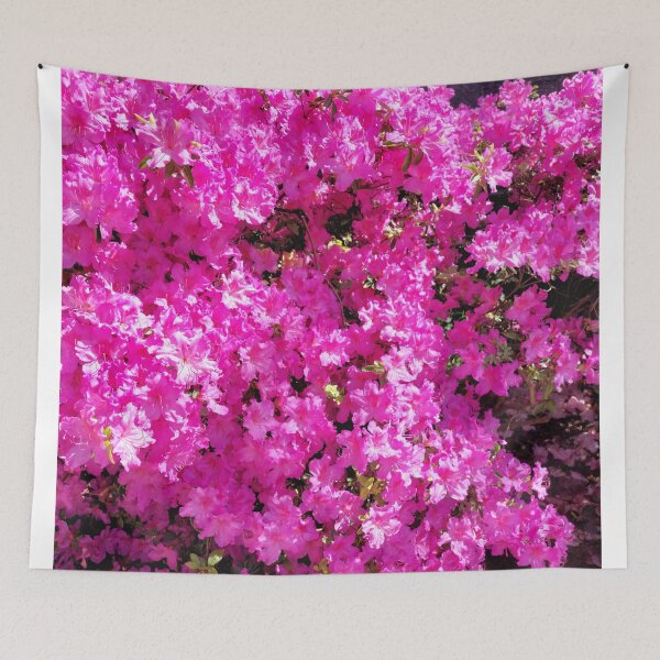 Item preview, Pink rhododendron  designed and sold by jdphotos.