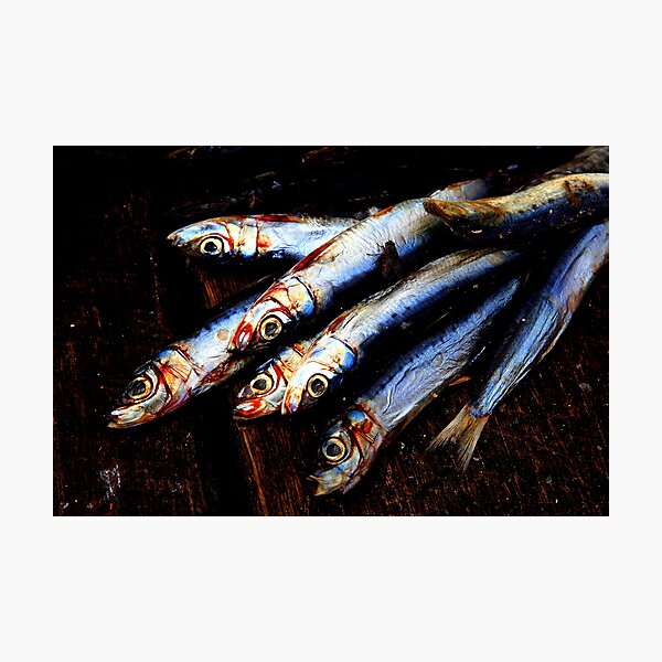Item preview, Pilchards designed and sold by Andrew Edgar.