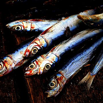 Artwork thumbnail, Pilchards by Andrew Edgar
