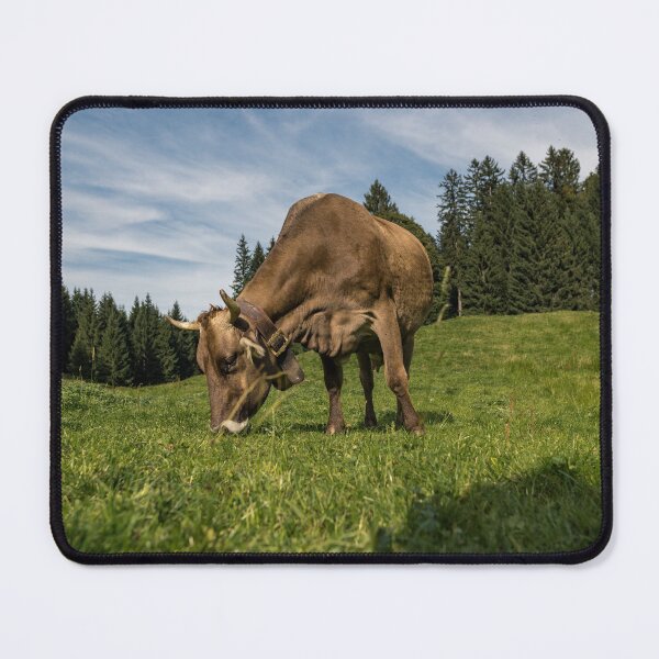 Item preview, Oberstdorf Kuh on the Hochleite - Allgäu Alps 17 designed and sold by xP42.