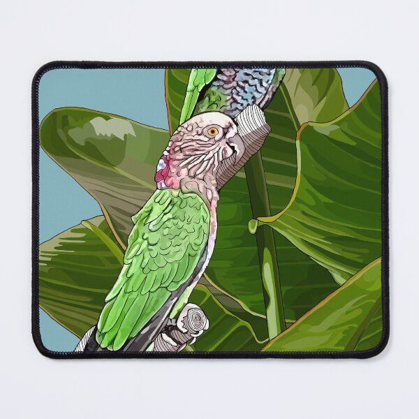 Item preview, Amazonian Parrots  designed and sold by Maxine  Campisciano.