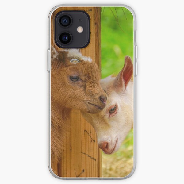 Baby Goat Headbutt iPhone Soft Case