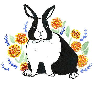 Artwork thumbnail, Dutch Rabbit by Creativetea