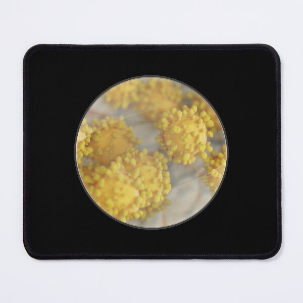 Item preview, Cells under the magnifying glass designed and sold by OVMEngemann.