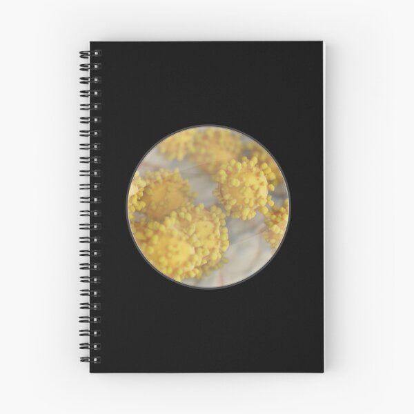 Item preview, Cells under the magnifying glass designed and sold by OVMEngemann.