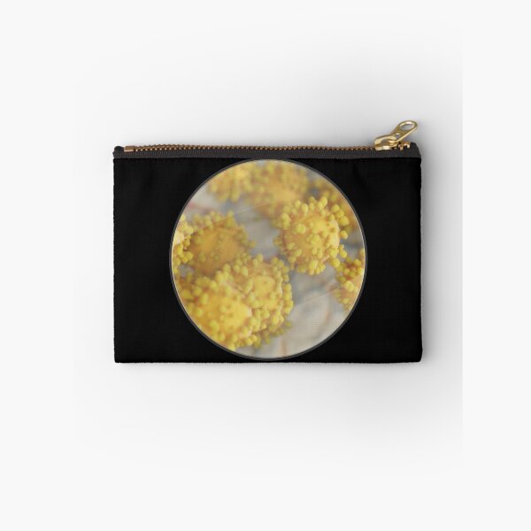 Item preview, Cells under the magnifying glass designed and sold by OVMEngemann.