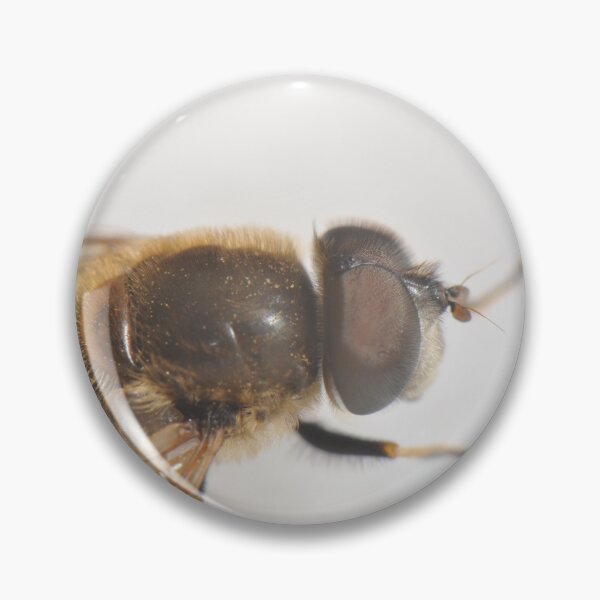 Item preview, Eristalis on white background designed and sold by mthyselius.