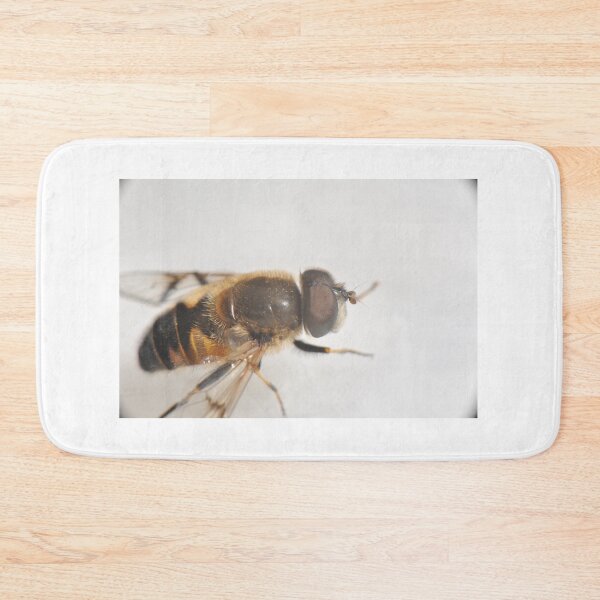 Item preview, Eristalis on white background designed and sold by mthyselius.