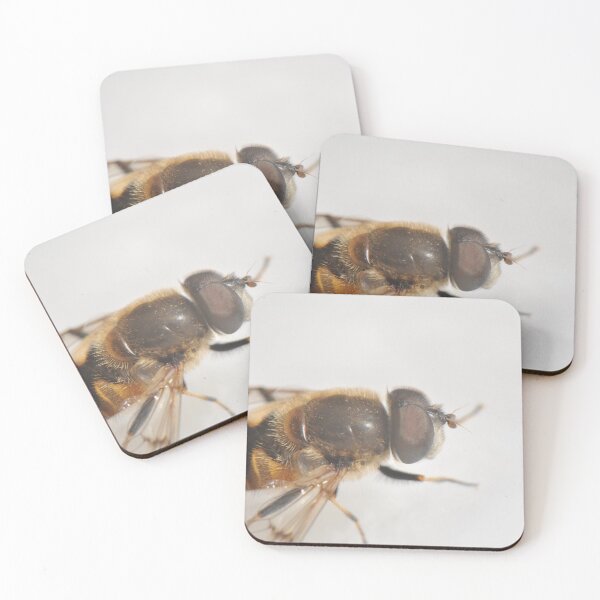Item preview, Eristalis on white background designed and sold by mthyselius.