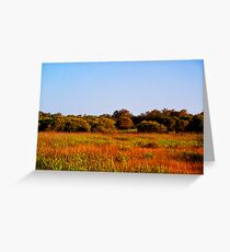 Bushland Greeting Card