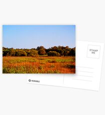 Bushland Postcards