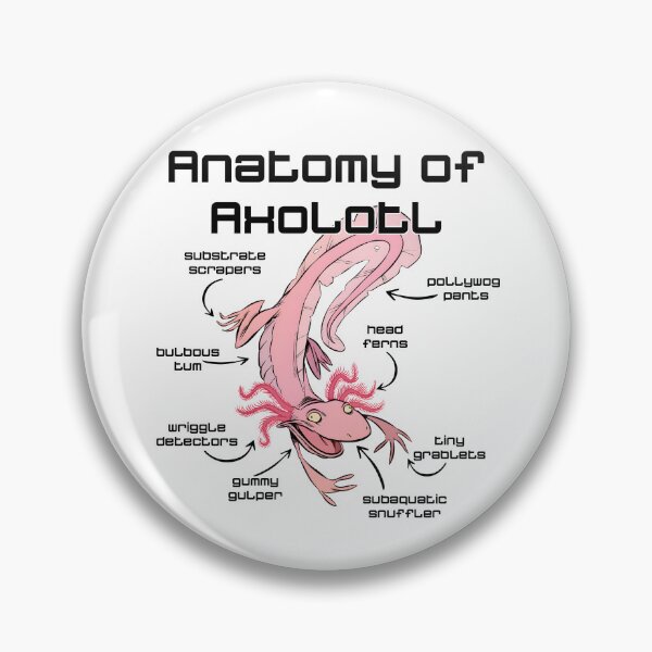 Artikelvorschau, Anatomie von Axolotl entworfen und verkauft von lukas69graphic.