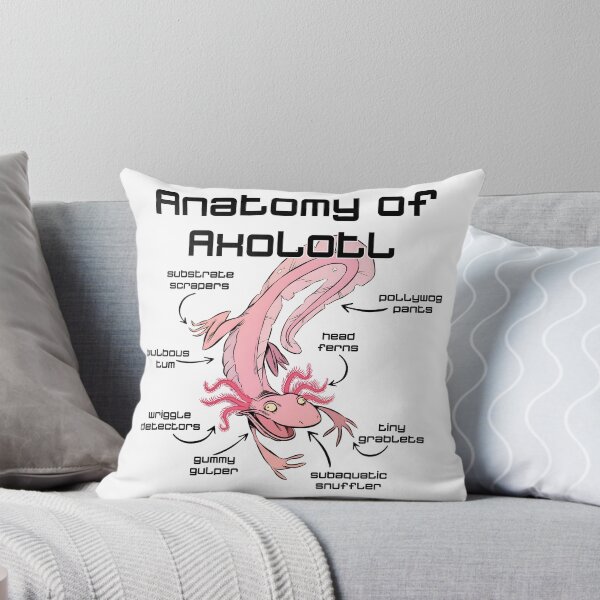 Item preview, ANATOMY OF an AXOLOTL AXLOTL designed and sold by lukas69graphic.
