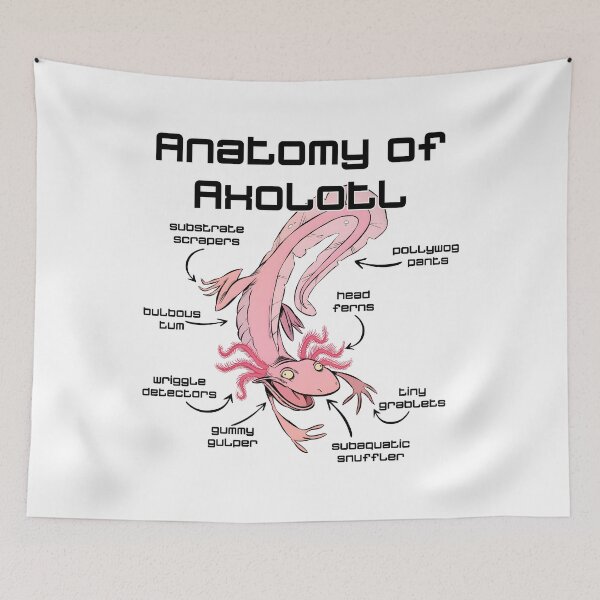 Item preview, ANATOMY OF an AXOLOTL AXLOTL designed and sold by lukas69graphic.