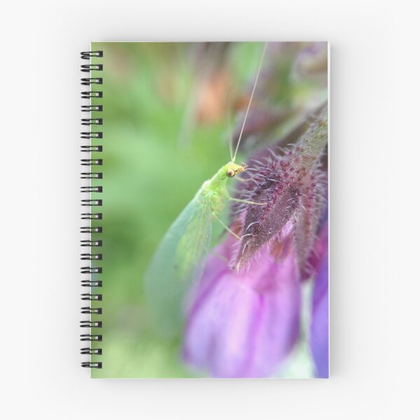 Item preview, Green lacewing on purple flower designed and sold by mthyselius.