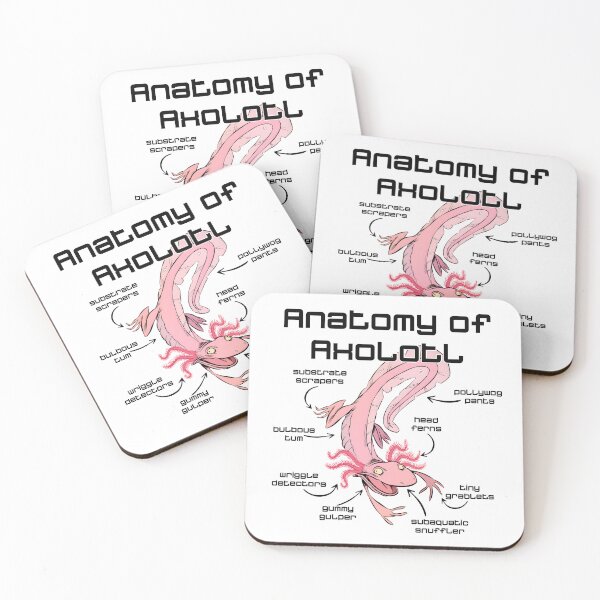 Item preview, ANATOMY OF an AXOLOTL AXLOTL designed and sold by lukas69graphic.
