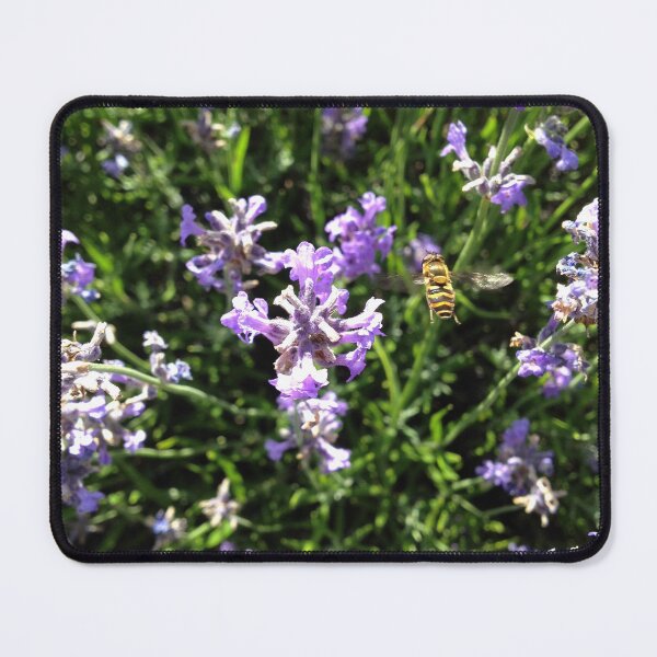 Item preview, Lavender flight designed and sold by mthyselius.