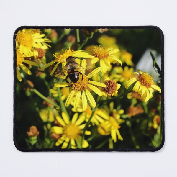 Item preview, Dronefly on yellow flowers designed and sold by mthyselius.