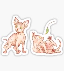 Sphynx Kittens Sticker