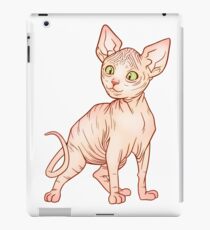 Sphynx Kittens iPad Case/Skin