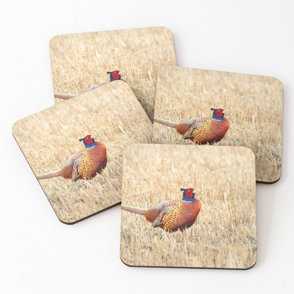 Item preview, The King of the fields. Common pheasant designed and sold by Jouko Lehto Photography.